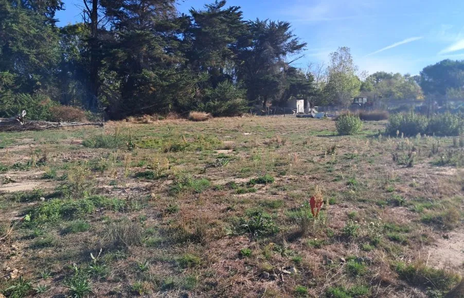 Image Terrain à bâtir de 555 m² à VILLENEUVE-EN-RETZ (44)