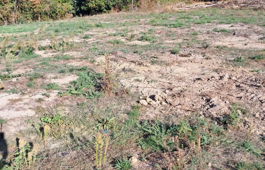 Image Terrain à bâtir de 445 m² à VILLENEUVE-EN-RETZ (44)