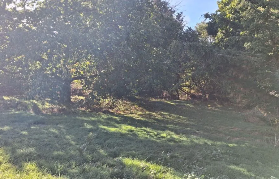 Image Terrain à bâtir de 3000 m² à SAINT-JULIEN-DES-LANDES (85)