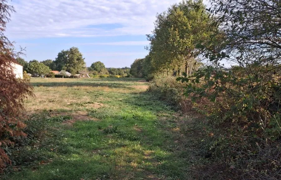 Image Terrain à bâtir de 986 m² à GROSBREUIL (85)